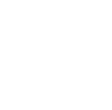 Pong Exit Icon